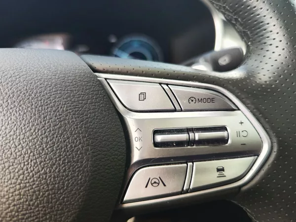 Hyundai Santa Fe 1.6 T-GDI/169kW Luxury 4x4 HEV - foto 31