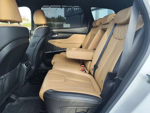 Hyundai Santa Fe 2.2 CRDI/148kW Luxury DCT 4x4 - foto 15
