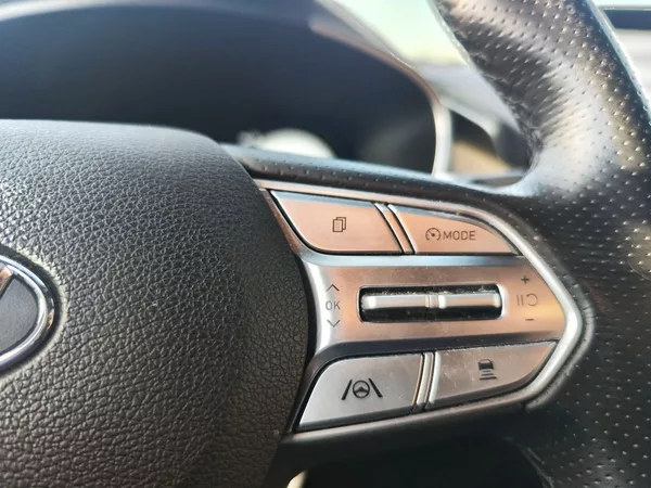 Hyundai Santa Fe 2.2 CRDI/148kW Luxury DCT 4x4 - foto 30