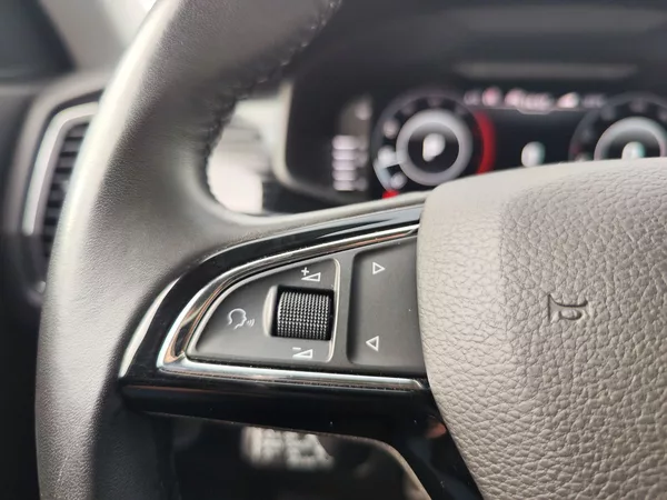 Škoda Kodiaq 2.0 TDI/140kW Style DSG 4x4 - foto 29