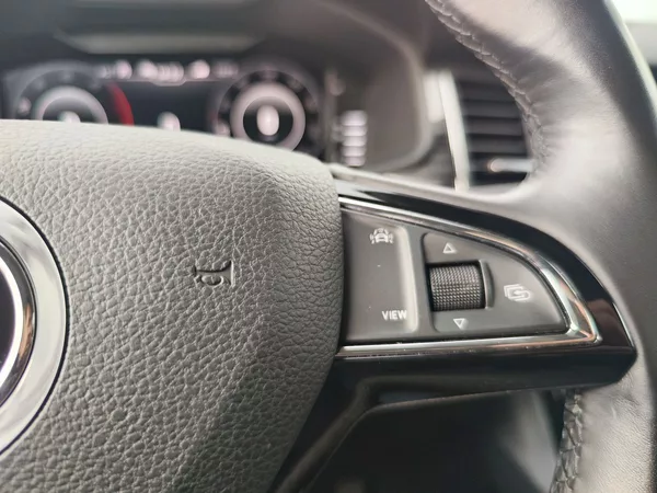 Škoda Kodiaq 2.0 TDI/140kW Style DSG 4x4 - foto 30