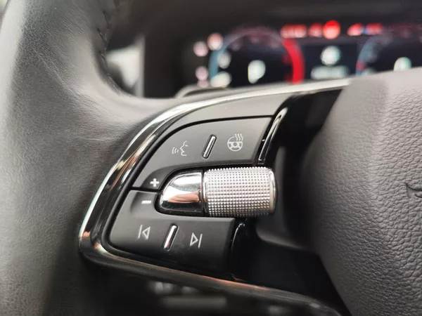 Škoda Kodiaq 2.0 TDI/147kW L&K DSG 4x4 - foto 31