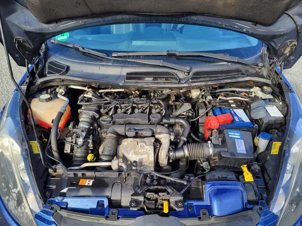 Ford Fiesta 1.6 L Duratorq TDCi 66kW TREND - foto 29