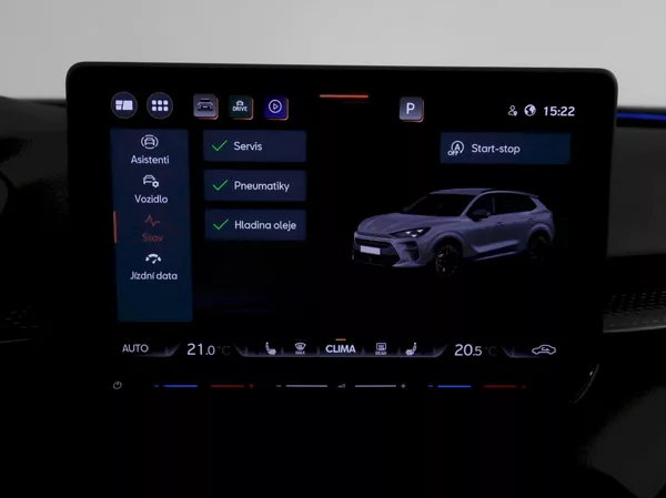Cupra Terramar 2.0TSI 150KW 4x4 DSG - foto 23
