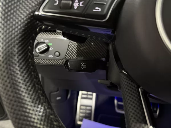 Audi RS 4 2,9 TFSI 450HP QUATTRO ALCA - foto 16