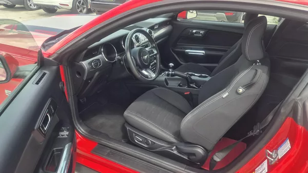 Ford Mustang 2.3T 50 Years Edition 233kw - foto 10