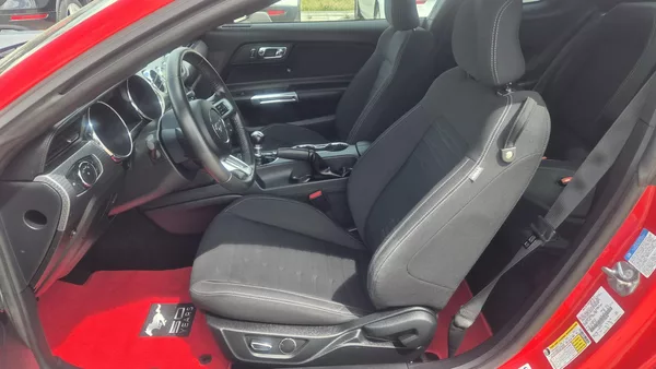 Ford Mustang 2.3T 50 Years Edition 233kw - foto 13