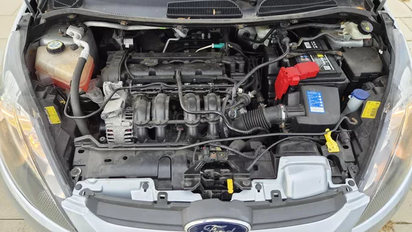 Ford Fiesta 1.25i KLIMA po servisu - foto 13