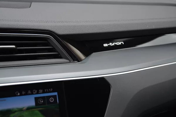 Audi e-tron 50 QUATTRO BUSSINES 1 Majitel - foto 23