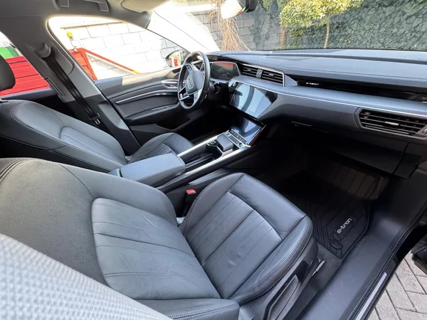 Audi e-tron 50 QUATTRO BUSSINES 1 Majitel - foto 49