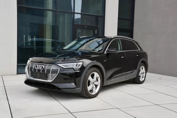Audi e-tron 50 QUATTRO BUSSINES 1 Majitel - foto 9
