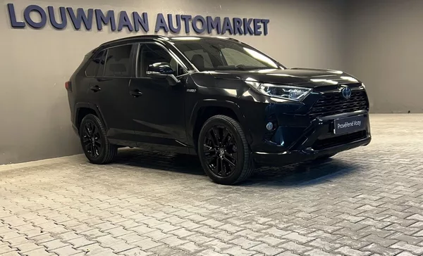 Toyota RAV4 2.5 Hybrid AT BLACK EDITION JB - foto 13