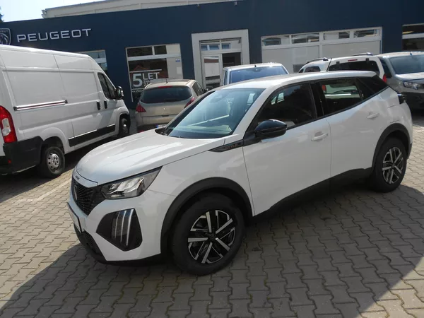 Peugeot 2008 BUSINESS Turbo 100 MAN6