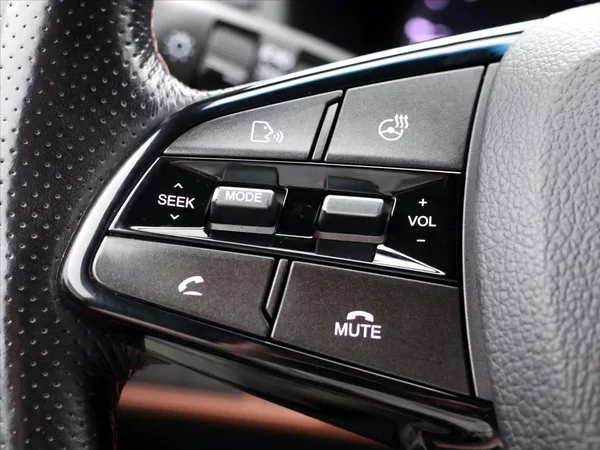 SsangYong Rexton 2,2 e-XDI 133Kw Premium BigFoo - foto 24