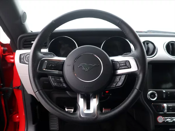 Ford Mustang 5,0 Ti-VCT V8 310kW - foto 19