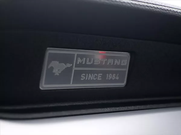 Ford Mustang 5,0 Ti-VCT V8 310kW - foto 31
