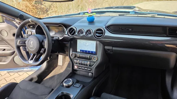 Ford Mustang SHELBY GT500 AUT RECARO CARBON - foto 12
