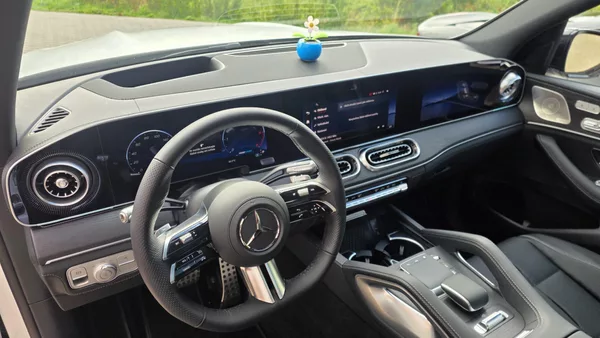 Mercedes-Benz GLS GLS 450d NEW MODEL AMG REDY - foto 11