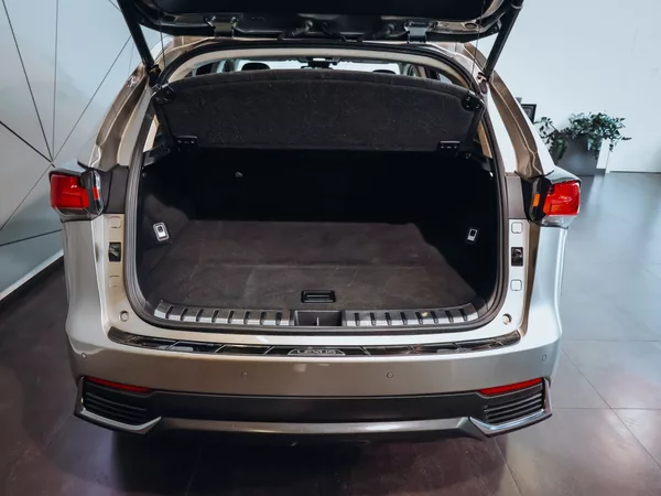Lexus NX 300 H - foto 6