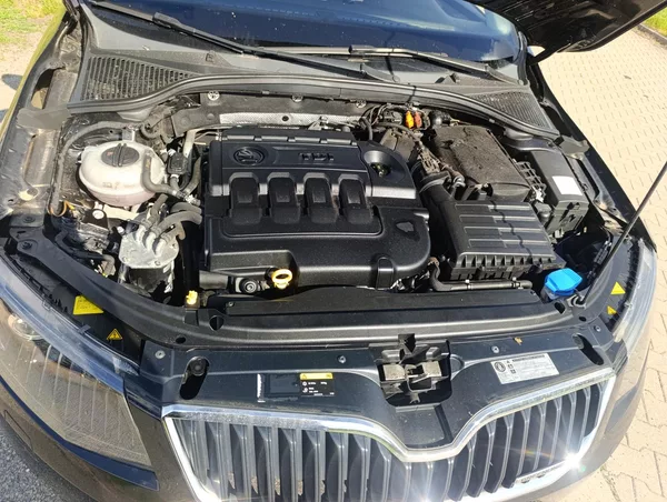 Škoda Octavia 1.6 TDi Green Line 81kw - foto 22