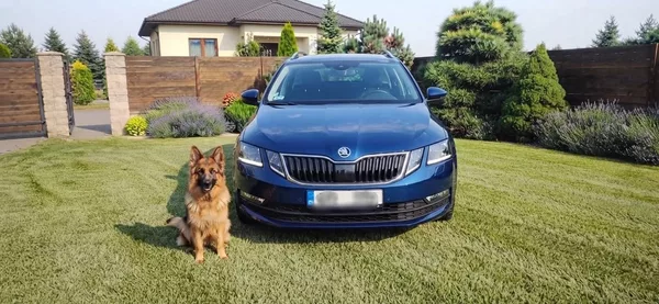 Škoda Octavia 1.4TSI 110 kw servisní histori - foto 46
