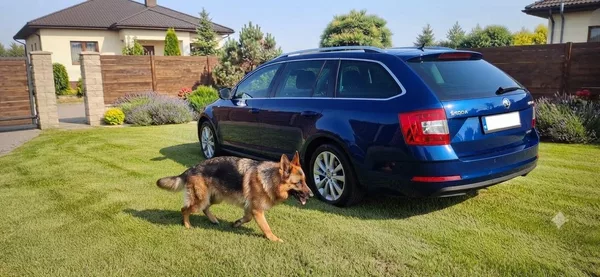 Škoda Octavia 1.4TSI 110 kw servisní histori - foto 54