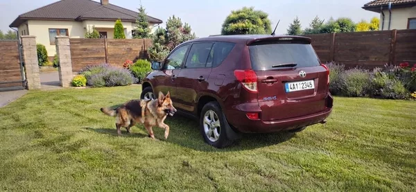 Toyota RAV4 4x4 Facelit servisní historie - foto 47