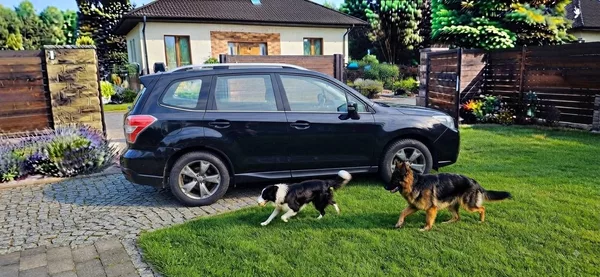 Subaru Forester 2.0 benzin 110 kw 4x4 - foto 29