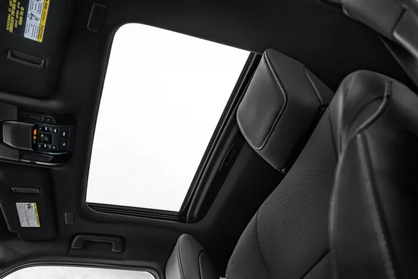 Lexus Premium+ - foto 19