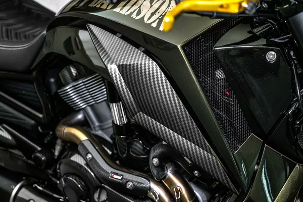Harley-Davidson Custom, Akrapovič - foto 10
