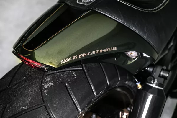 Harley-Davidson Custom, Akrapovič - foto 15
