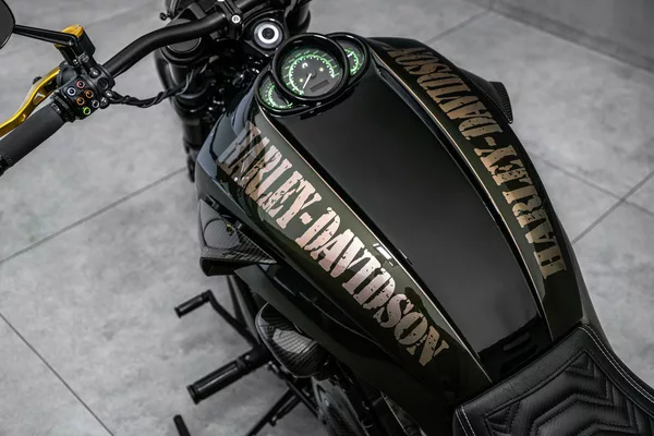 Harley-Davidson Custom, Akrapovič - foto 16