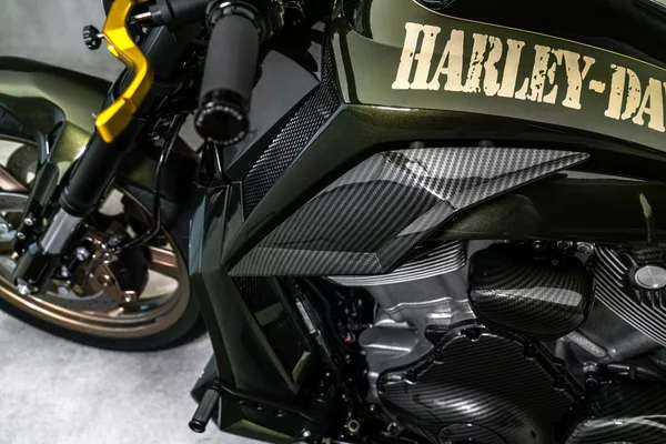 Harley-Davidson Custom, Akrapovič - foto 22
