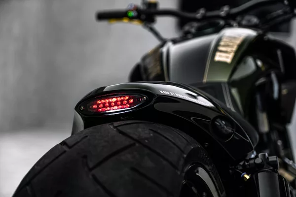 Harley-Davidson Custom, Akrapovič - foto 23