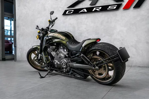 Harley-Davidson Custom, Akrapovič - foto 6