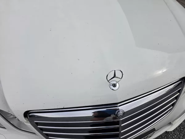 Mercedes-Benz Třídy E 300CDI V6 Avantgarde TZ - foto 30