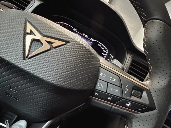 Cupra Ateca 1.5 TSI 150k DSG - foto 15