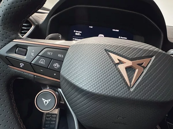 Cupra Formentor VZ 2.0 TSI 333k 4WD *HD MTRX*I - foto 14