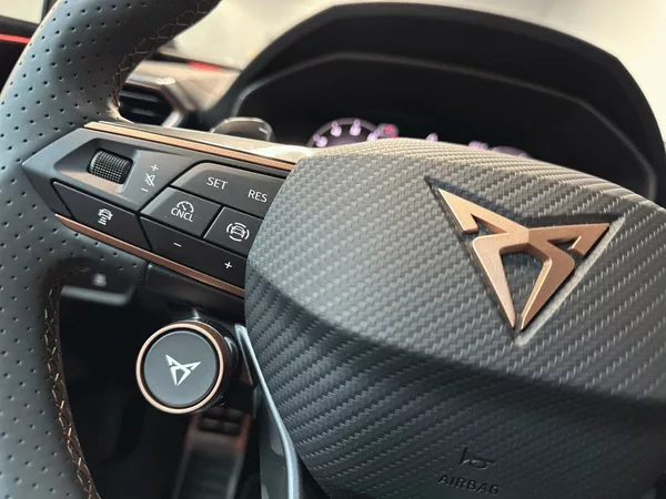 Cupra Leon SP 1.5 eTSI 150 DSG Black Edit - foto 17