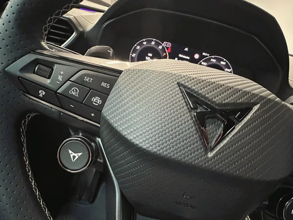 Cupra Formentor Tribe Edition 1.5 eTSI 150 DSG - foto 15