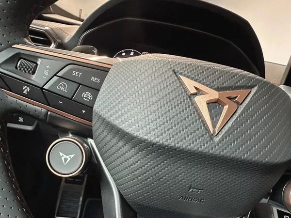 Cupra Formentor 1.5 eTSI 150k DSG *TAŽNÉ* - foto 15