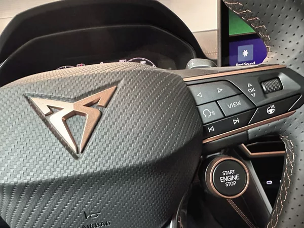 Cupra Formentor 1.5 eTSI 150k DSG *TAŽNÉ* - foto 16