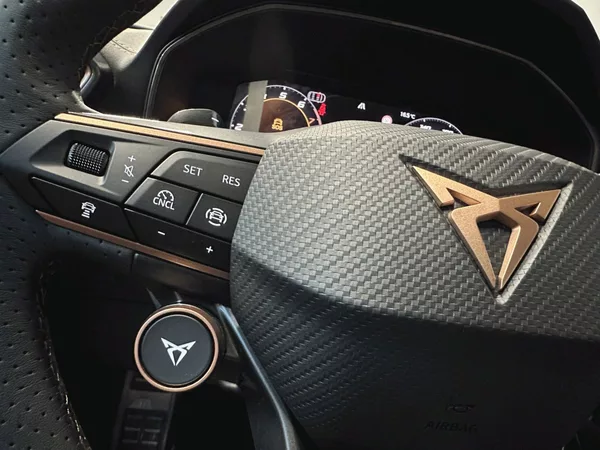 Cupra Leon SP 2.0 TSI 204k DSG 4WD - foto 10