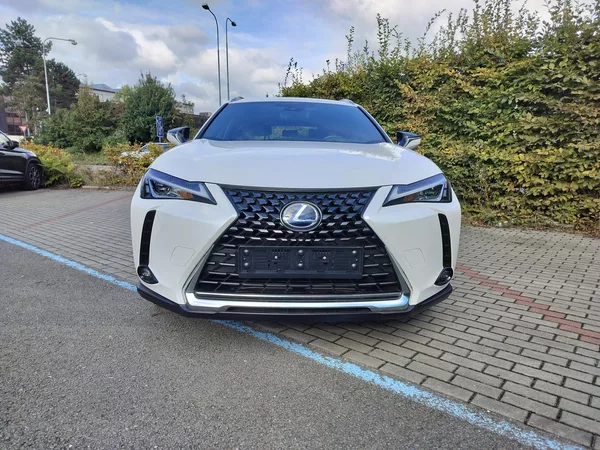 Lexus UX 250h black-white edition, kůže - foto 2