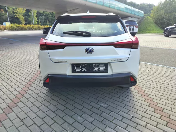 Lexus UX 250h black-white edition, kůže - foto 6