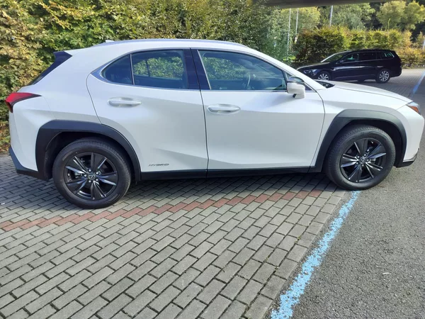 Lexus UX 250h black-white edition, kůže - foto 8