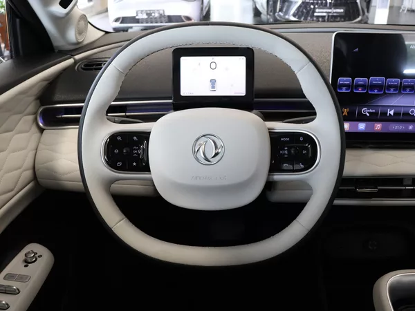 Dongfeng Box 31,4 kWh E1, - foto 10