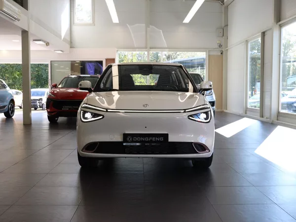 Dongfeng Box 42,3 kWh E3, - foto 2