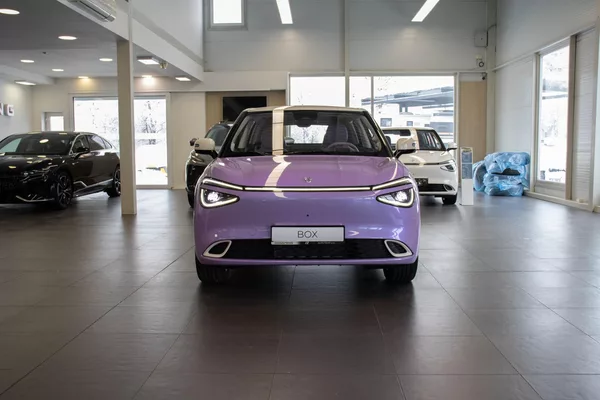 Dongfeng Box 42,3 kWh E3, - foto 2