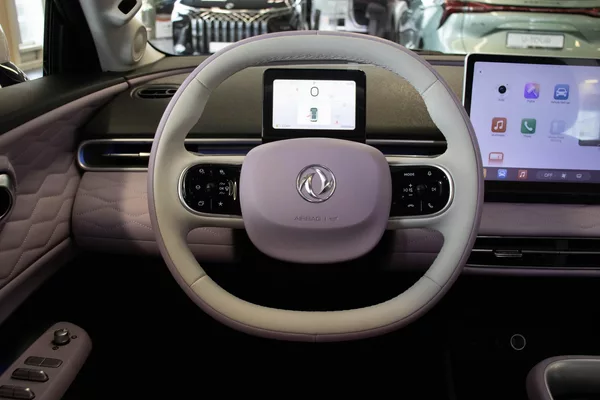 Dongfeng Box 42,3 kWh E3, - foto 9